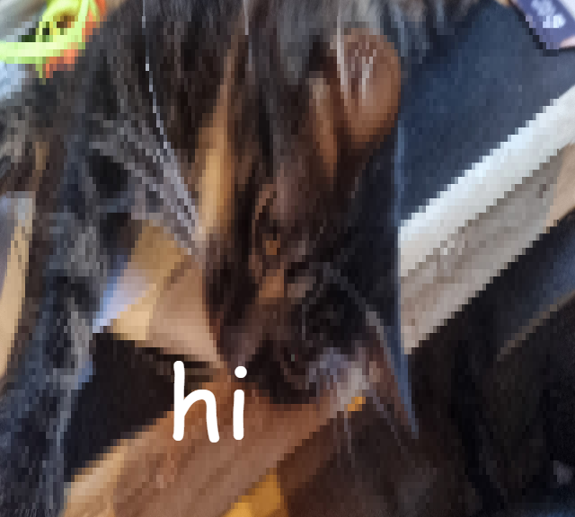 hi